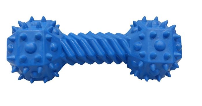 rubber dumbbell dog toy