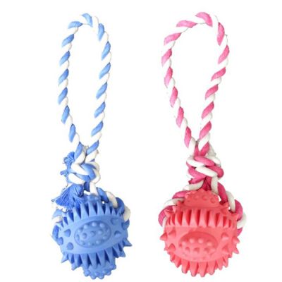 Rubber dental ball with rope dog toy